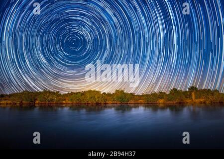 A long exposure creates beautiful star trails in this image photographed in the Florida Everglades. Stock Photo