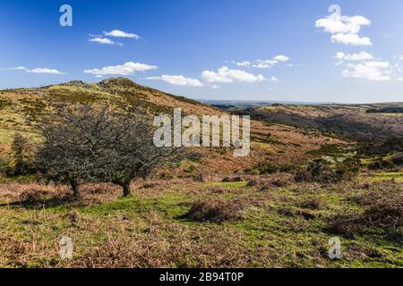 A bracketed landscape image of Sharp Tor near Dartmeet on a lovely spring afternoon, Dartmoor National Park, Devon, England. 16 March 2020 Stock Photo