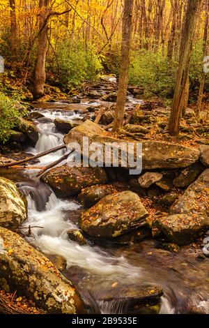 Mountain stream in the Smokies at autumn Stock Photo