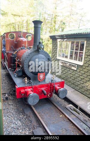 No 2 “Dolgoch” steam engine on the Talyllyn Railway at Abergynolwyn, near Tywyn, (Towyn), Gwynedd, Wales. Built in 1866 by Fletcher, Jennings & Co. Stock Photo