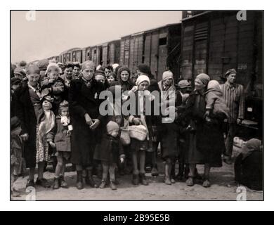 Auschwitz-Birkenau Arrivals. Jewish women & children some wearing Nazi designated yellow stars arrive by cattle rail trucks to Auschwitz-Birkenau, a WW2 German Nazi Concentration camp. Jewish children were the largest group deported to the camp. They were sent along with adults, beginning in early 1942, as part of  “final solution of the Jewish question”—the total destruction of the Jewish population of Europe...Auschwitz concentration camp was a network of German Nazi concentration and extermination camps operated by the Third Reich in Polish areas annexed by Nazi Germany during World War II. Stock Photo