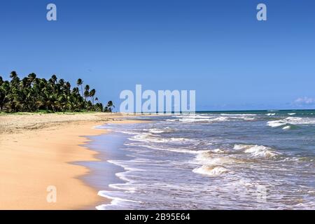 Bahia Beach and the Atlantic Ocean in Puerto Rico Stock Photo
