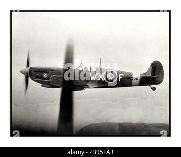 SPITFIRE WW2 1940’s World War II Royal Air Force (RAF) Spitfire off the wing of an American Airforce B-17. Flown by RAF pilots, the short-ranged Spitfire was the USAAF’s and Bomber Commands heavy bomber escort protecting against Nazi Germany Fighter aircraft until mid-1943. World War II Second World War WW2 Stock Photo