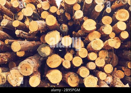 Natural wooden logs cut and stacked in pile, felled by the logging timber industry, Abstract photo of a pile of natural wooden logs background Stock Photo