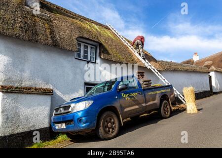 Thatched Roof, Rooftop, Repairing, Farm, Construction Industry, Working, Roofer, Building - Activity, Manual Worker, Wicker, Stock Photo