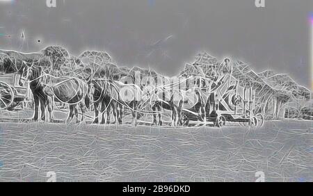 Negative - Nandaly District, Victoria, by Bill Boyd, 1920, Black and white photographic negative by the photographer William (Bill) Boyd.depicting farming activities, family and the domestic life of people who settled the challenging wheat frontier of the Mallee, mainly in and around the towns of Nandaly & Sea Lake., Reimagined by Gibon, design of warm cheerful glowing of brightness and light rays radiance. Classic art reinvented with a modern twist. Photography inspired by futurism, embracing dynamic energy of modern technology, movement, speed and revolutionize culture. Stock Photo