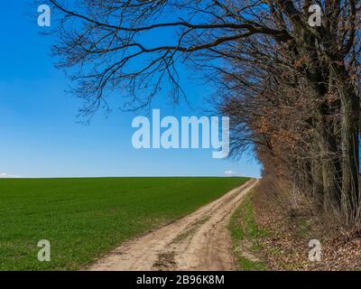Beautiful dirt road through the green field at the countryside. Tranquil rural landscape Stock Photo