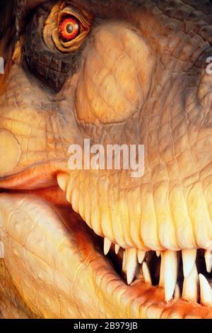 T rex head Stock Photo - Alamy
