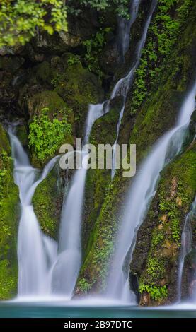 small waterfall among green moss on stones Stock Photo