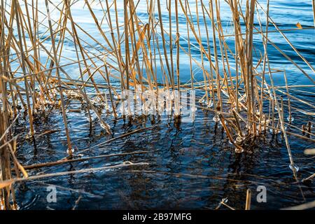 The last days of the winter Stock Photo