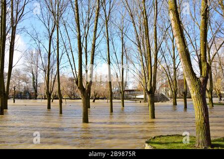 a river overflowed in the field Stock Photo
