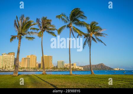 Honolulu Waikiki Beach Palm Trees at sunset, Oahu, Hawaii Stock Photo