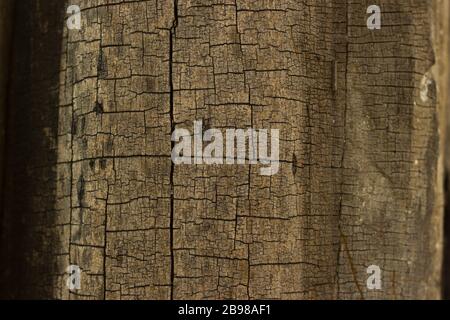 Old wood cracked background Stock Photo