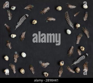 Easter border with quail eggs and feathers on a black background. Easter composition. Copy space, top view, flat lay. Stock Photo