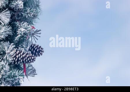 Christmas tree and blue sky background, blurred. Happy New Year and Xmas theme Stock Photo