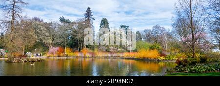 The lake in Seven Acres, RHS Garden, Wisley, Surrey with a colourful backdrop of Flowering Cornus (dogwood) trees and reflections in spring: panorama Stock Photo