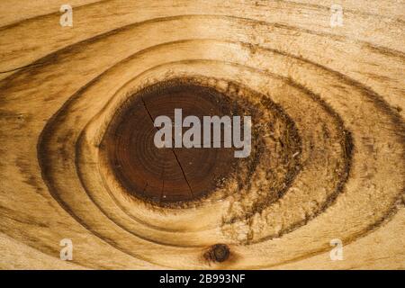 Wood Knot Stock Photo