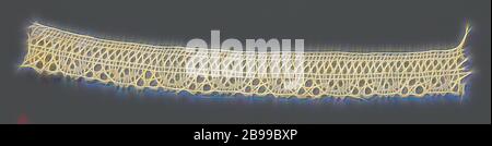 Strip of bobbin lace with a border of U-shaped motifs interspersed with three round meshes, Strip of natural-colored bobbin lace, Swedish lace. The strip is attached to pins on a light blue cardboard with seven other strips. At the top of the cardboard is' Laces From Skåne. Sweden. ' written and above the strip is 'From Tosterup'. Tosterup is a castle in Skåne, located in the south of Sweden. The repeating pattern consists of a row of flat U-shaped motifs made on the underside of the strip, made of linen with open-worked edges, between which there is always a triangular field formed by three r Stock Photo