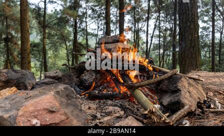 A small campfire with gentle flames beside a lake in a rain forest. North Vietnam, Ho Ham Lon. Stock Photo