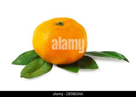 Ripe tangerine with leaves isolated on white background Stock Photo