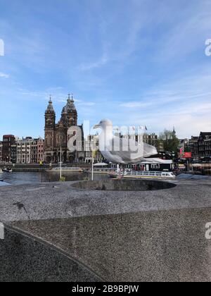 Seagull with the background as Basilica of Saint Nicholas (Dutch: Basiliek van de Heilige Nicolaas) in sunny day near the Amsterdam Central Station Stock Photo
