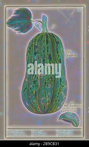 Pumpkin (Cucurbita pepo) 1. Pumpkin. 2. Concommer. / 1. Pepo 2. Cucumer / 1. Citrouille. 2. Cornichon (title on object), Pumpkin and a small cucumber. Numbered top right: 152. With the Latin names. Part of the second album with drawings of flowers and plants. Ninth of twelve albums with drawings of animals, birds and plants known around 1600, commissioned by Emperor Rudolf II. With explanation in Dutch, Latin and French., Plants and herbs: pumpkin, Anselmus Boetius de Boodt, 1596 - 1610, paper, watercolor (paint), deck paint, ink, chalk, pen, h 280 mm × w 175 mm, Reimagined by Gibon, design of Stock Photo