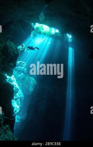 A diver explores a cenote in the Caribbean Sea, Mexico. Stock Photo