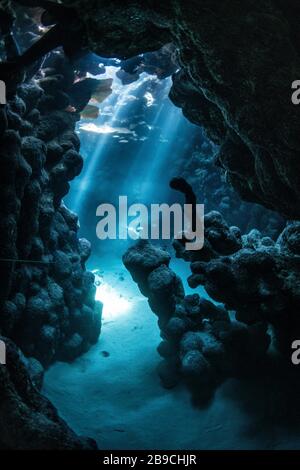 Sunbeams penetrate the cave entrance from above, Red Sea. Stock Photo