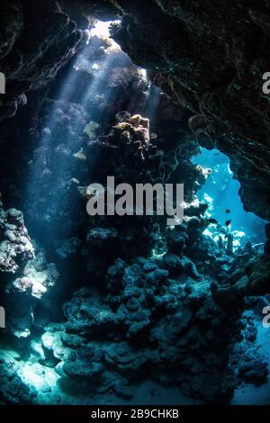 An underwater cavern is illuminated by sunbeams, Red Sea. Stock Photo