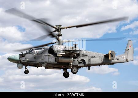 Russian Aerospace Forces Ka-52 attack helicopter in flight. Stock Photo