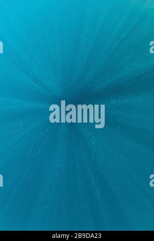 Tiny silversides swim among the beams of sunlight descending into the ocean. Stock Photo