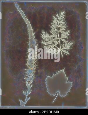 talbot specimens photogenic 1839