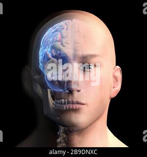 3D rendering of human head and brain on black background. Stock Photo