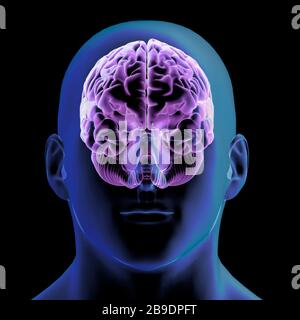 Glowing X-ray image of human brain in blue wireframe on isolated black ...
