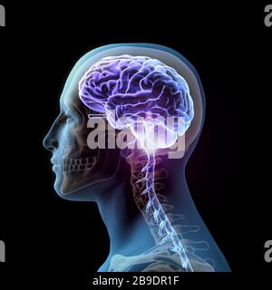 Side view of man with illuminated brain and skull, on black background. Stock Photo