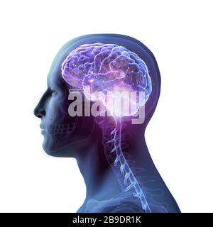Man in profile with a star-filled brain and skull, on white background. Stock Photo