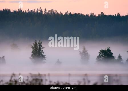 Foggy summer landscape by the lake in Finland after sunset Stock Photo