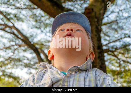 A small boy sitting under a tree and looking up with curiosity Stock Photo