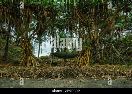 Unique campsite in the tropical forest like a jungle and black sand beach by Indian ocean. Feel like Jurassic Park with a big monitor lizard nearby in Stock Photo