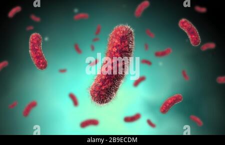 Conceptual image of the Bacillus bacteria. Stock Photo