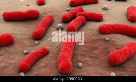 Conceptual image of the Bacillus bacteria. Stock Photo