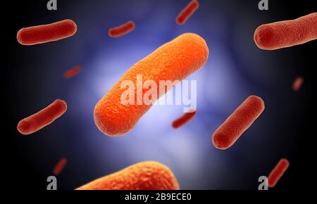 Conceptual image of the Bacillus bacteria. Stock Photo