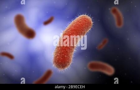 Conceptual image of the Bacillus bacteria. Stock Photo