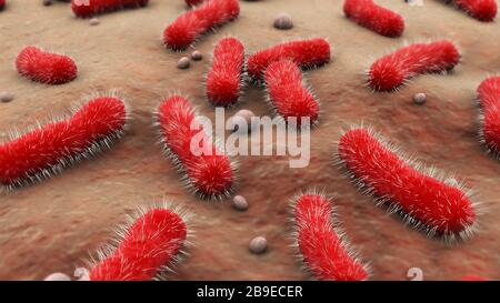 Conceptual image of the Bacillus bacteria. Stock Photo