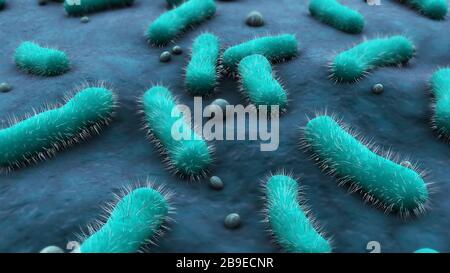 Conceptual image of the Bacillus bacteria. Stock Photo