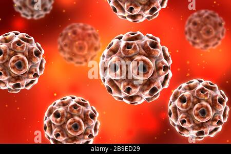 Conceptual image of the human papillomavirus infection virus. Stock Photo