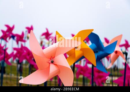 pinwheels of various colors standing on a hill Stock Photo