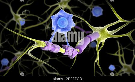 Conceptual image of a multiple sclerosis neuron healed by a T-cell.