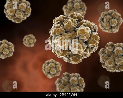 Conceptual image of the norovirus. Stock Photo