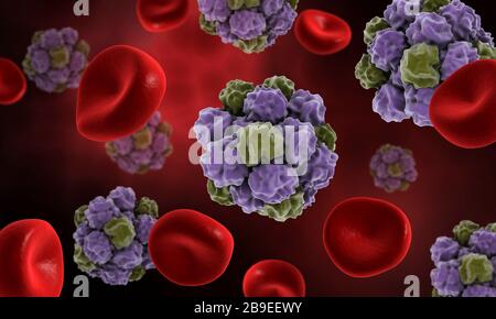 Conceptual image of the norovirus with red blood cells. Stock Photo